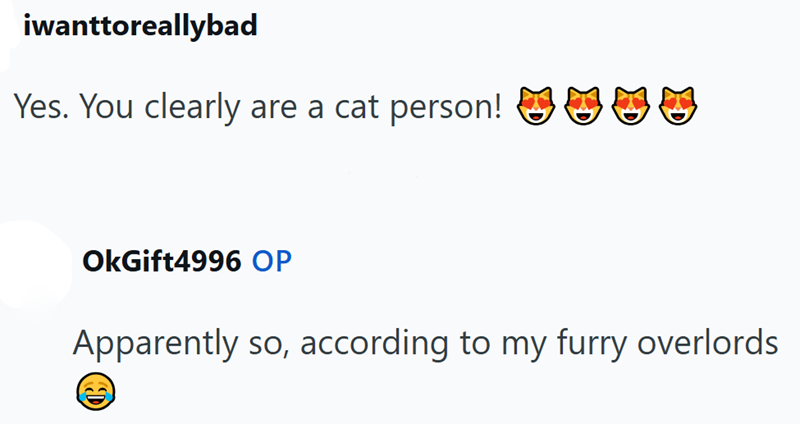 iwanttoreallybad Yes. You clearly are a cat person! 404 OkGift4996 OP Apparently so, according to my furry overlords