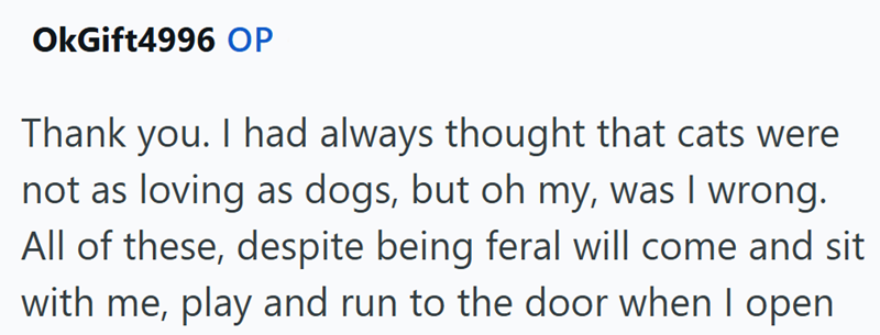 OkGift4996 OP Thank you. I had always thought that cats were not as loving as dogs, but oh my, was I wrong. All of these, despite being feral will come and sit with me, play and run to the door when I open