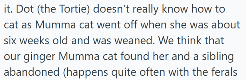 it. Dot (the Tortie) doesn't really know how to cat as Mumma cat went off when she was about six weeks old and was weaned. We think that our ginger Mumma cat found her and a sibling abandoned (happens quite often with the ferals