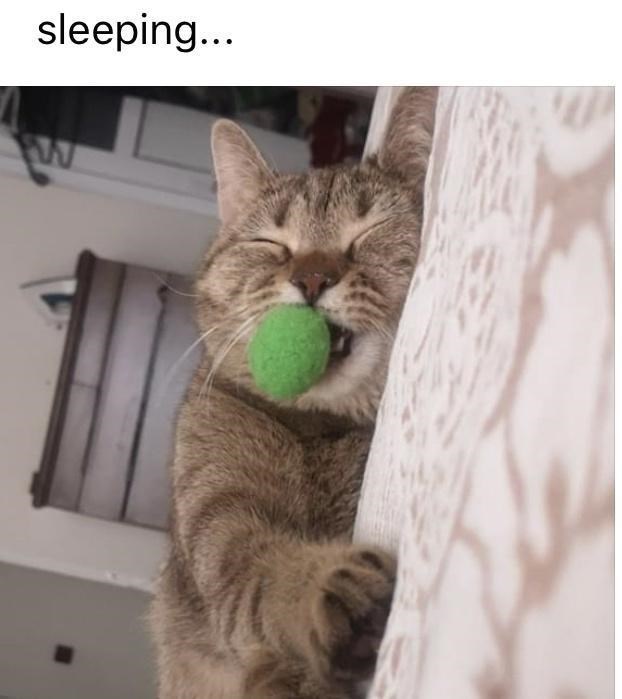 sleeping...