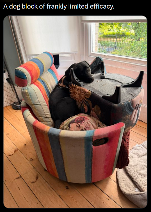 A dog block of frankly limited efficacy.
