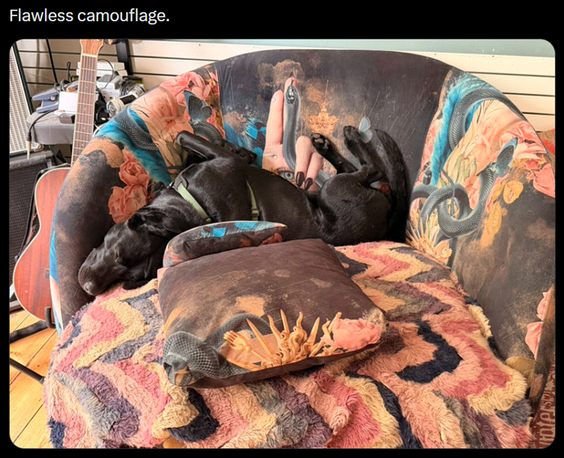 Flawless camouflage.
