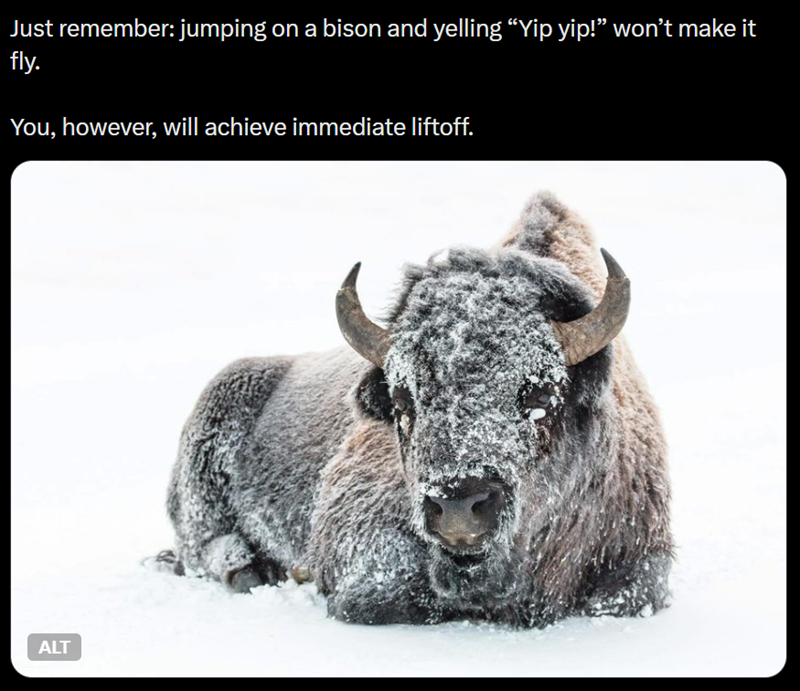Just remember: jumping on a bison and yelling “Yip yip!" won't make it fly. You, however, will achieve immediate liftoff. ALT
