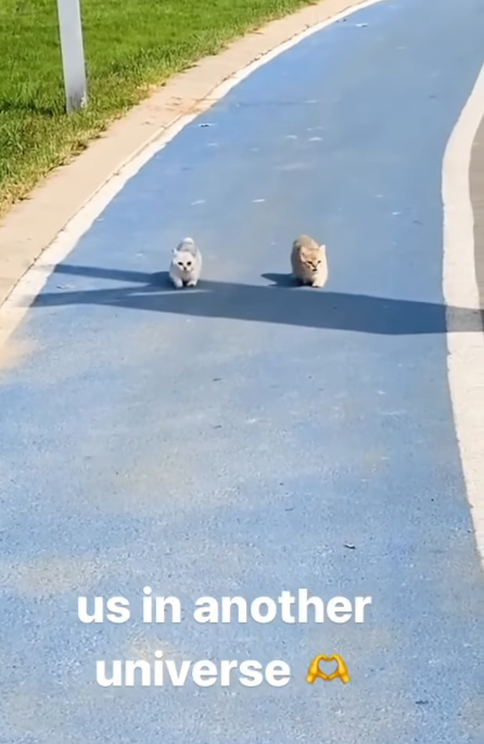 us in another universe