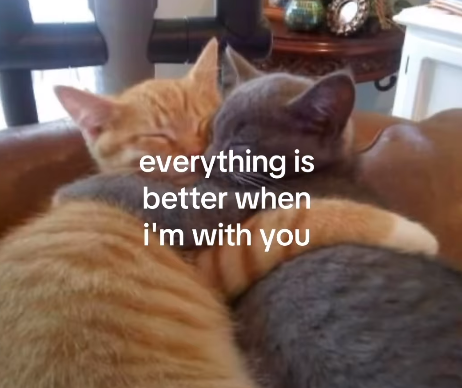everything is better when i'm with you