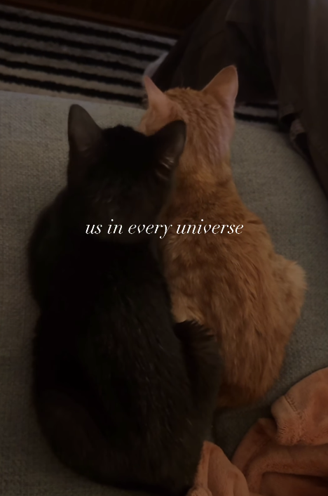 us in every universe