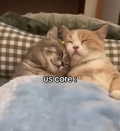 US core: