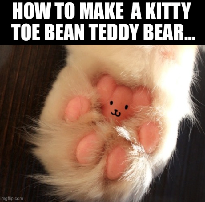 HOW TO MAKE A KITTY TOE BEAN TEDDY BEAR... imgflip.com R