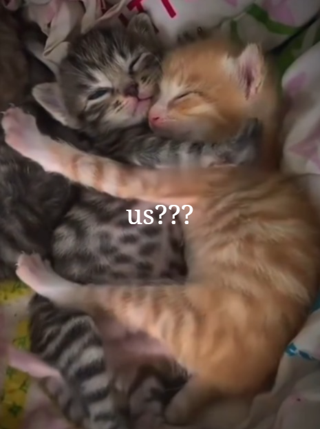 us??? L