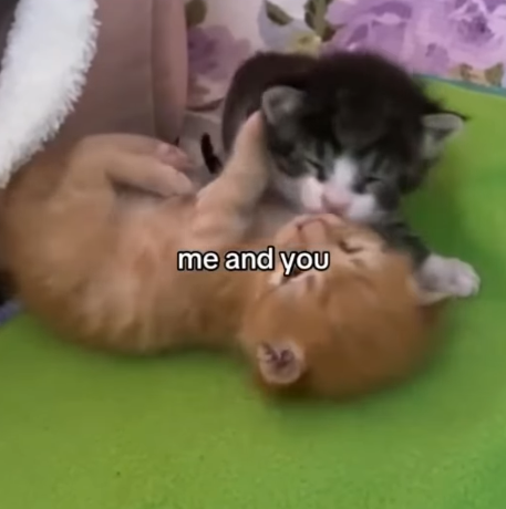 me and you
