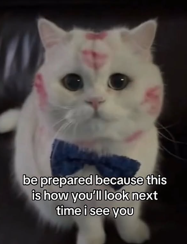 be prepared because this is how you'll look next time i see you