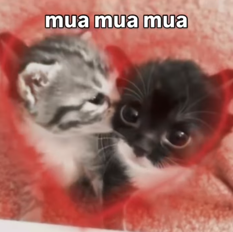 mua mua mua
