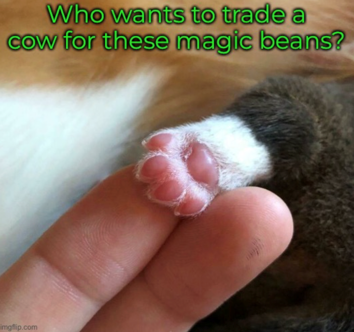 Who wants to trade a cow for these magic beans? imgflip.com