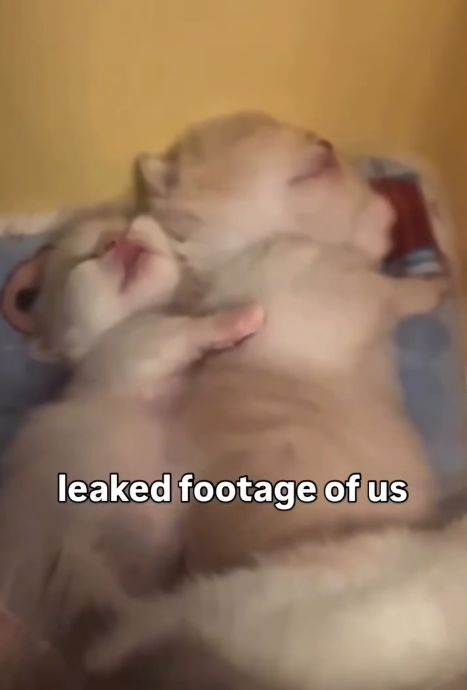 leaked footage of us