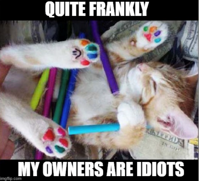 QUITE FRANKLY UNITEDS IN GO MY OWNERS ARE IDIOTS imgflip.com