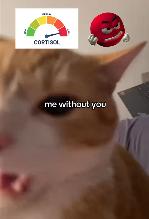 LOW MEDIUM CORTISOL me without you