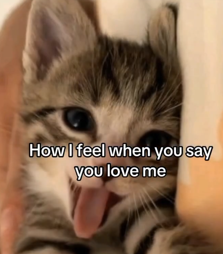 How I feel when you say you love me