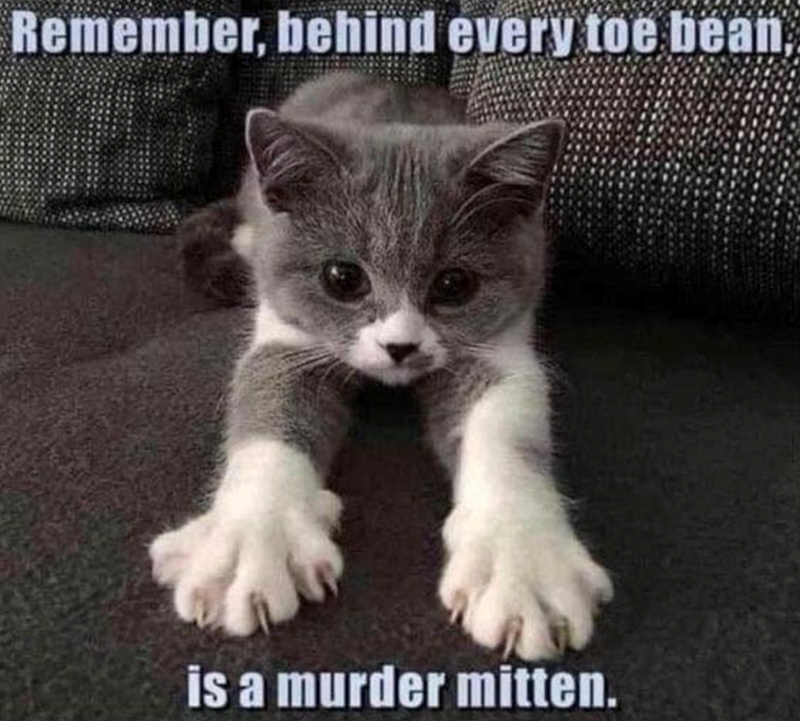 Remember, behind every toe bean, is a murder mitten.