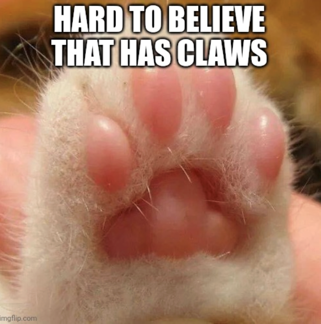imgflip.com HARD TO BELIEVE THAT HAS CLAWS