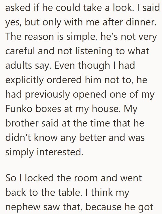 asked if he could take a look. I said yes, but only with me after dinner. The reason is simple, he's not very careful and not listening to what adults say. Even though I had explicitly ordered him not to, he had previously opened one of my Funko boxes at my house. My brother said at the time that he didn't know any better and was simply interested. So I locked the room and went back to the table. I think my nephew saw that, because he got