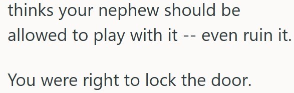 thinks your nephew should be allowed to play with it -- even ruin it. You were right to lock the door.