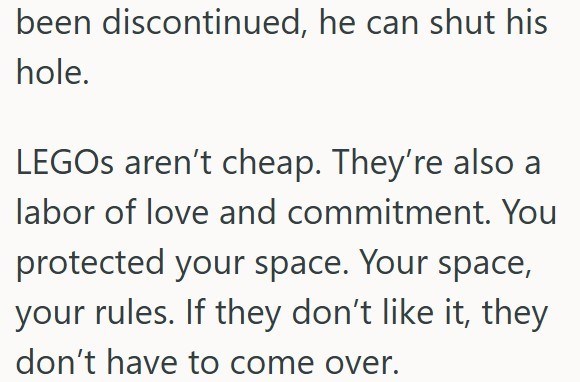 been discontinued, he can shut his hole. LEGOs aren't cheap. They're also a labor of love and commitment. You protected your space. Your space, your rules. If they don't like it, they don't have to come over.