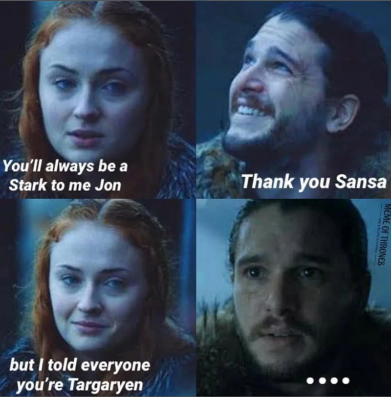 You'll always be a Stark to me Jon but I told everyone you're Targaryen Thank you Sansa MEME OF THRONES 000 COM
