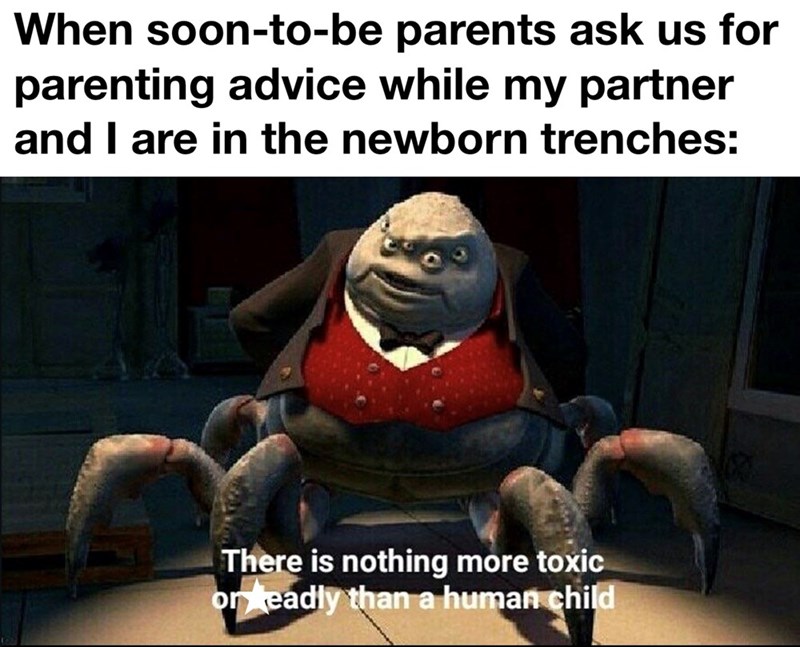 2 When soon-to-be parents ask us for parenting advice while my partner and I are in the newborn trenches: There is nothing more toxic orkeadly than a human child