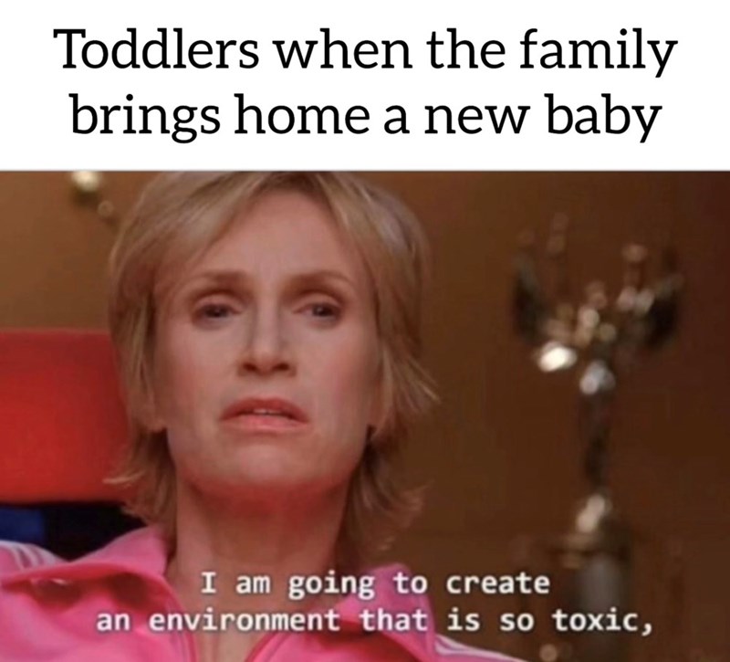 Toddlers when the family brings home a new baby I am going to create an environment that is so toxic,