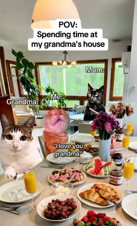 POV: Spending time at my grandma's house Grandma: Me: "I love you grandma" Mom: tella nutella