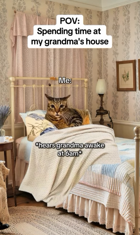 POV: Spending time at my grandma's house Me: *hears grandma awake at 6am*