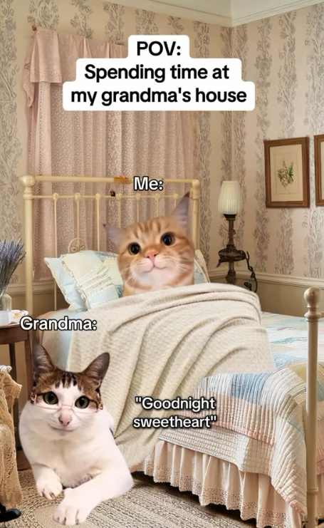 POV: Spending time at my grandma's house Grandma: Me: "Goodnight sweetheart"