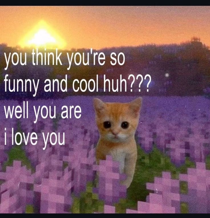 you think you're so funny and cool huh??? well you are i love you