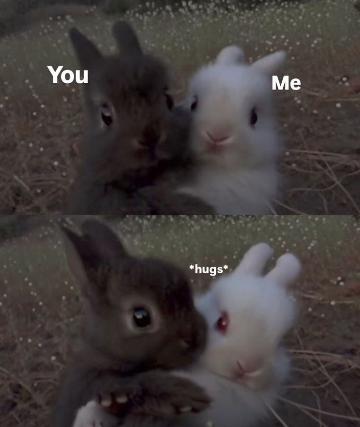 You *hugs* Me