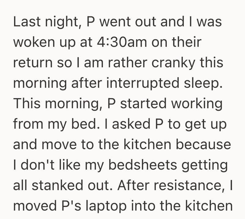 Last night, P went out and I was woken up at 4:30am on their return so I am rather cranky this morning after interrupted sleep. This morning, P started working from my bed. I asked P to get up and move to the kitchen because I don't like my bedsheets getting all stanked out. After resistance, I moved P's laptop into the kitchen
