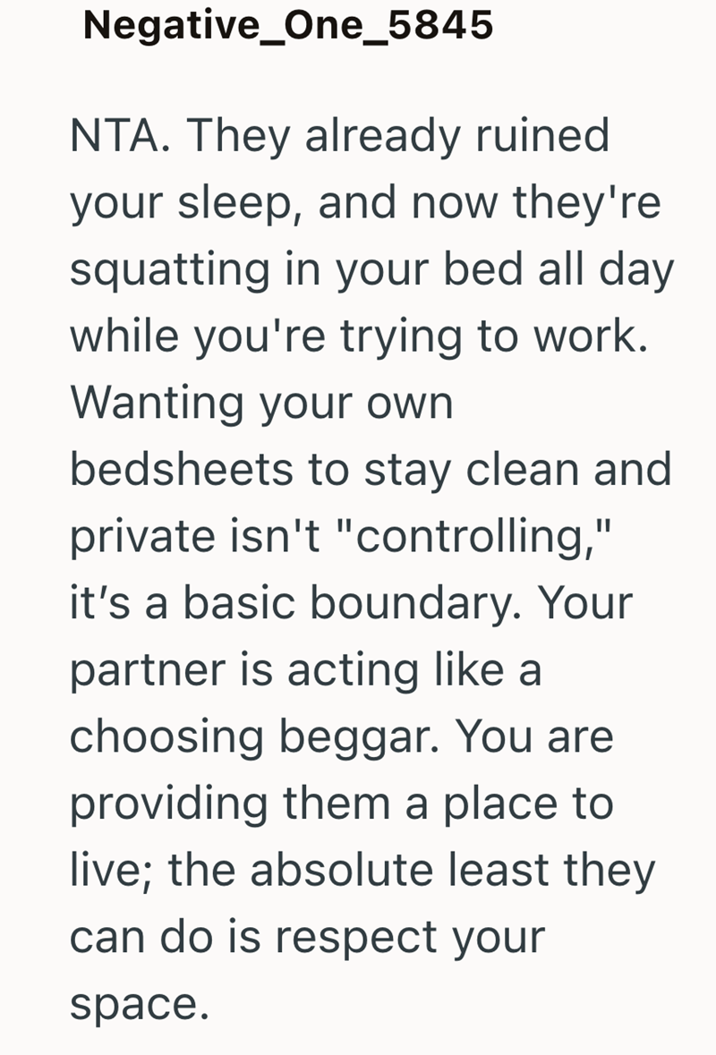 Negative_One_5845 NTA. They already ruined your sleep, and now they're squatting in your bed all day while you're trying to work. Wanting your own bedsheets to stay clean and private isn't "controlling," it's a basic boundary. Your partner is acting like a choosing beggar. You are providing them a place to live; the absolute least they can do is respect your space.