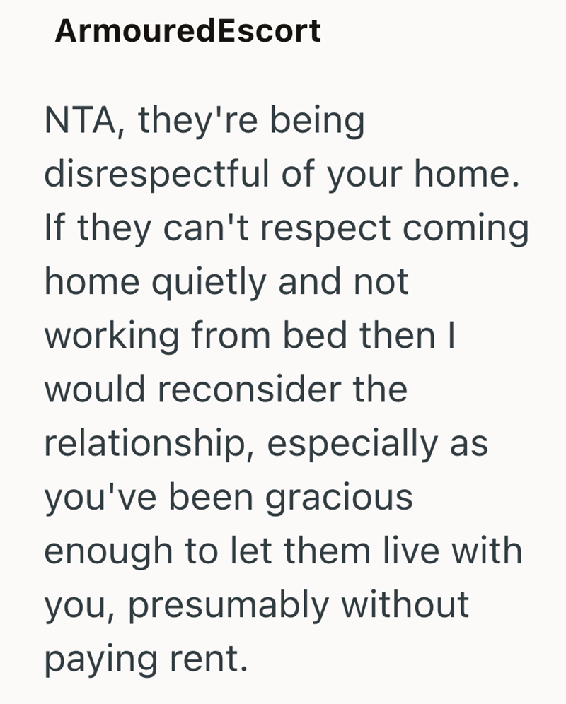 ArmouredEscort NTA, they're being disrespectful of your home. If they can't respect coming home quietly and not working from bed then I would reconsider the relationship, especially as you've been gracious enough to let them live with you, presumably without paying rent.