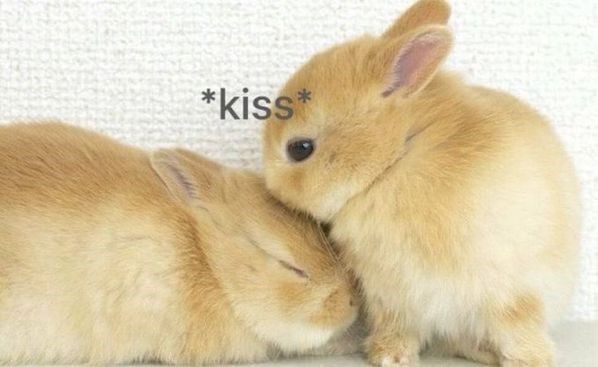 *kiss*