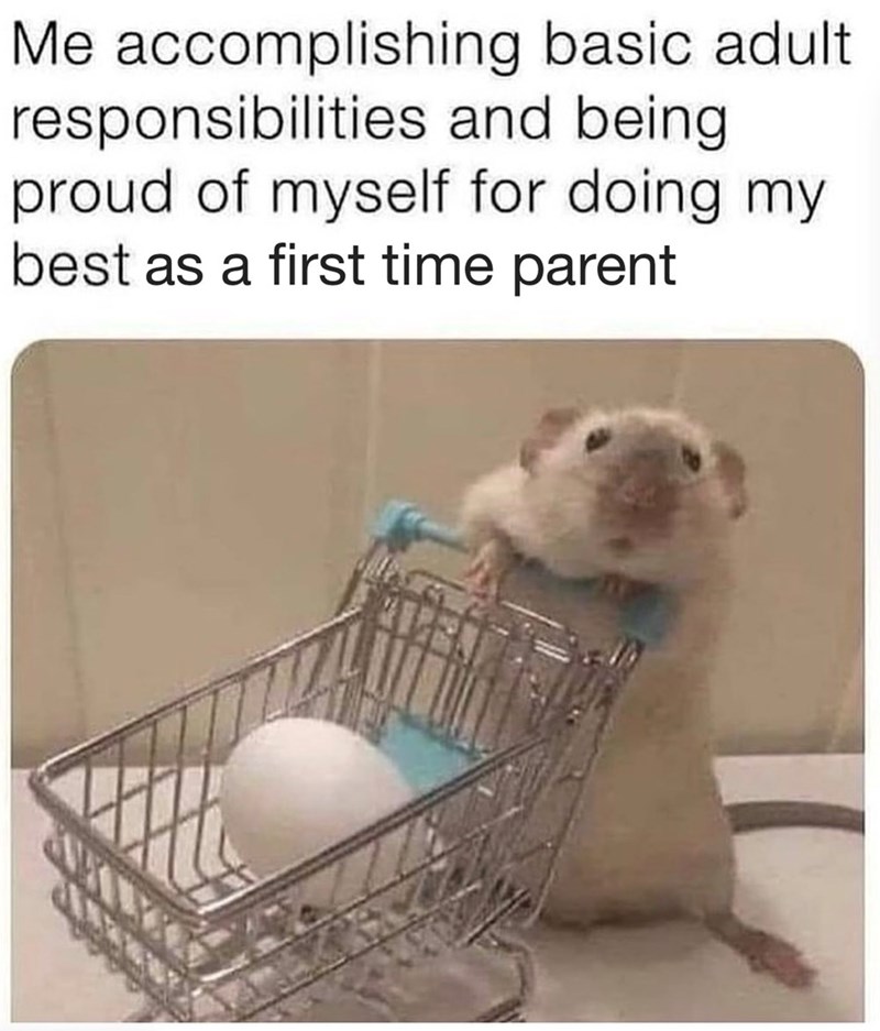 Me accomplishing basic adult responsibilities and being proud of myself for doing my best as a first time parent