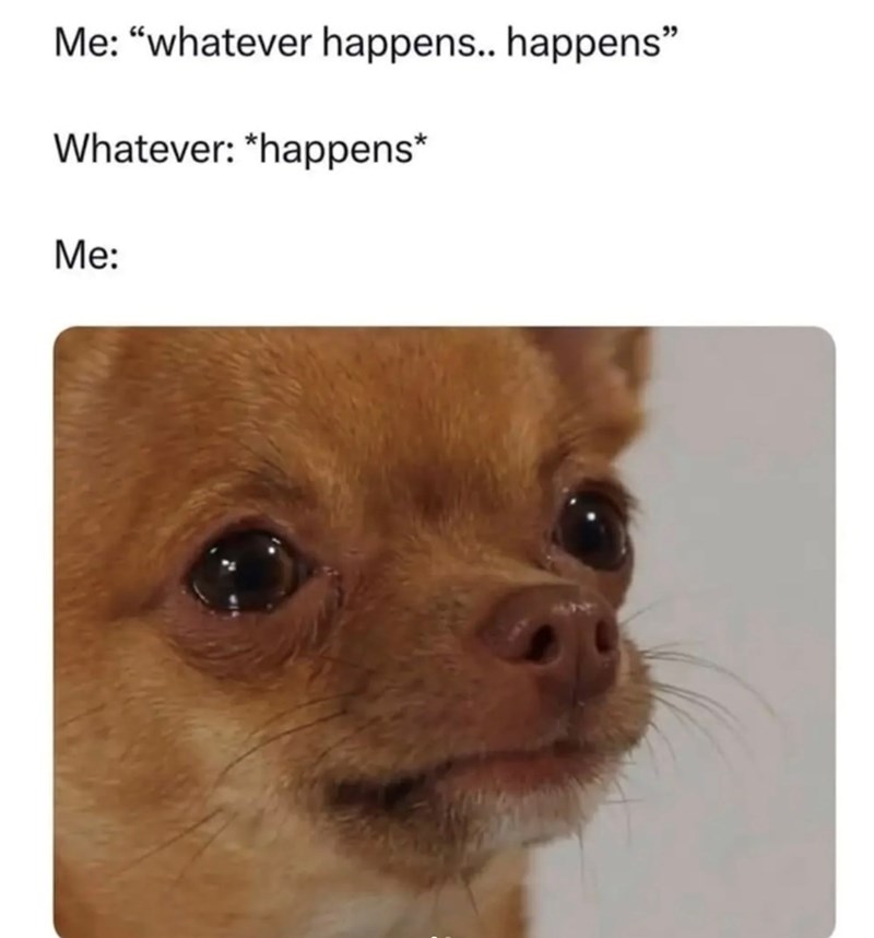 Me: "whatever happens.. happens" Whatever: *happens* Me: