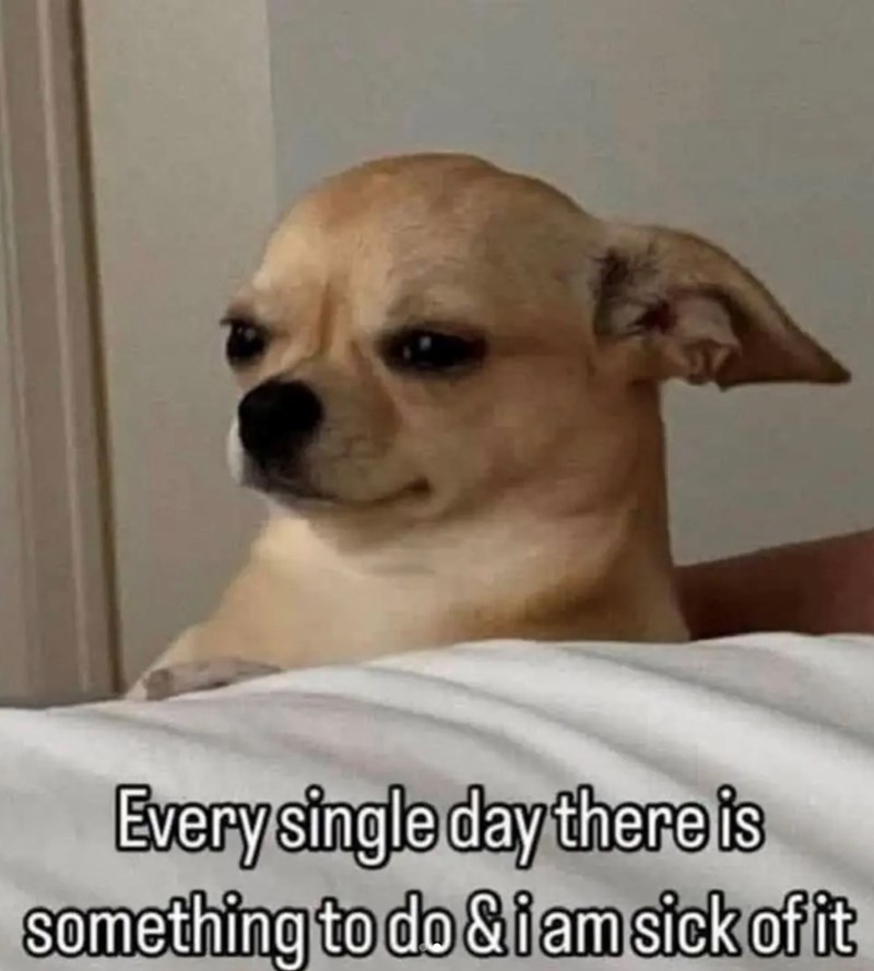 Every single day there is something to do & i am sick of it