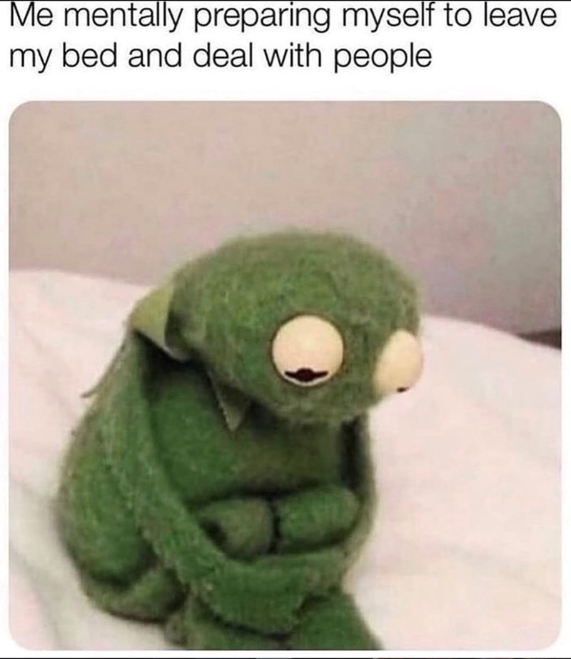 Me mentally preparing myself to leave my bed and deal with people
