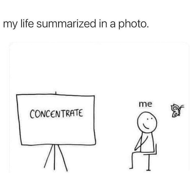 my life summarized in a photo. me CONCENTRATE