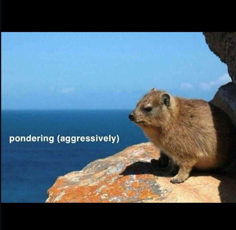 pondering (aggressively)