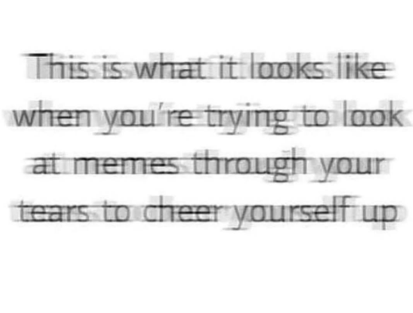 This is what it looks like when you're trying to look at memes through your tears to cheer yourself up