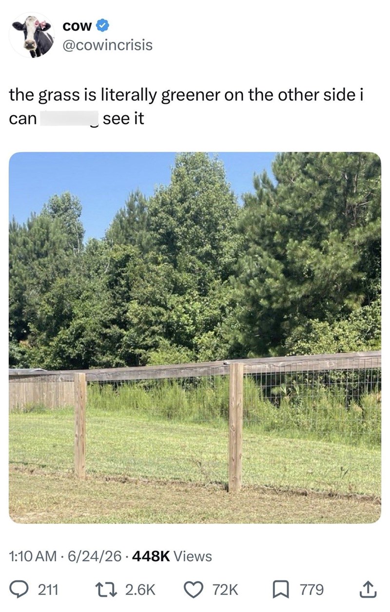COW @cowincrisis the grass is literally greener on the other side i can see it 1:10 AM 6/24/26 448K Views 211 12.6K 72K ☐ 779 ↑