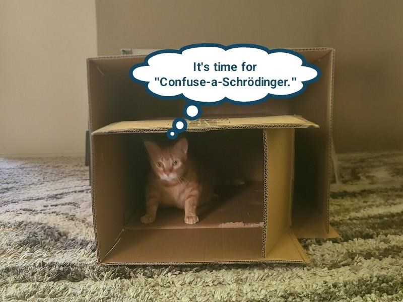 Cheezburger Image 10644458240