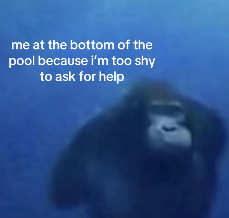 me at the bottom of the pool because i'm too shy to ask for help