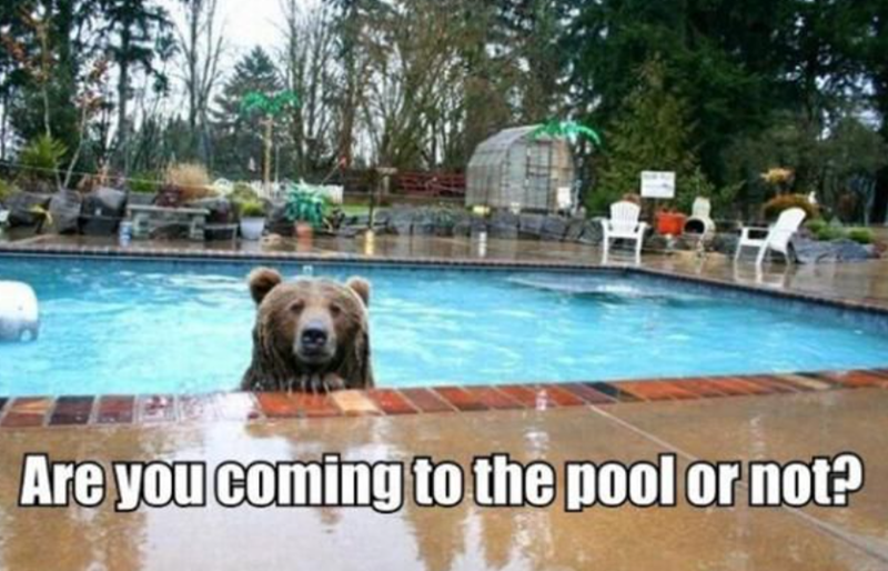 Are you coming to the pool or not?