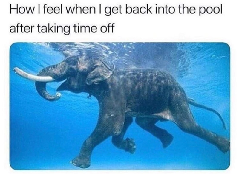 How I feel when I get back into the pool after taking time off